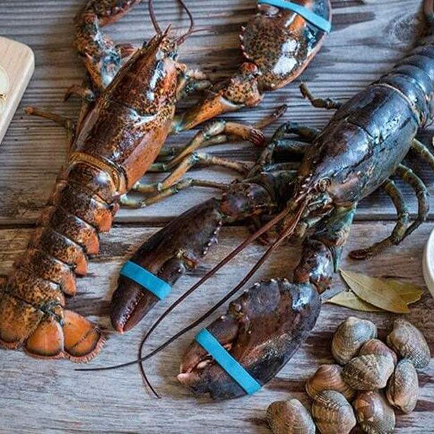 The Best Ways to Cook Whole Lobster