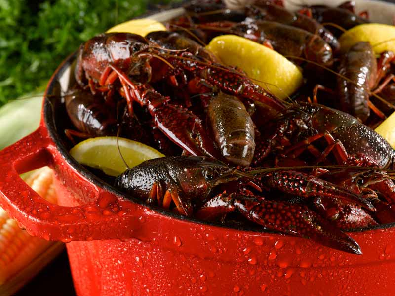 Crawfish in Pot with Lemons