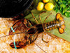 Large Live Lobster on Ice and Wooden Surface with Lemons and Herbs