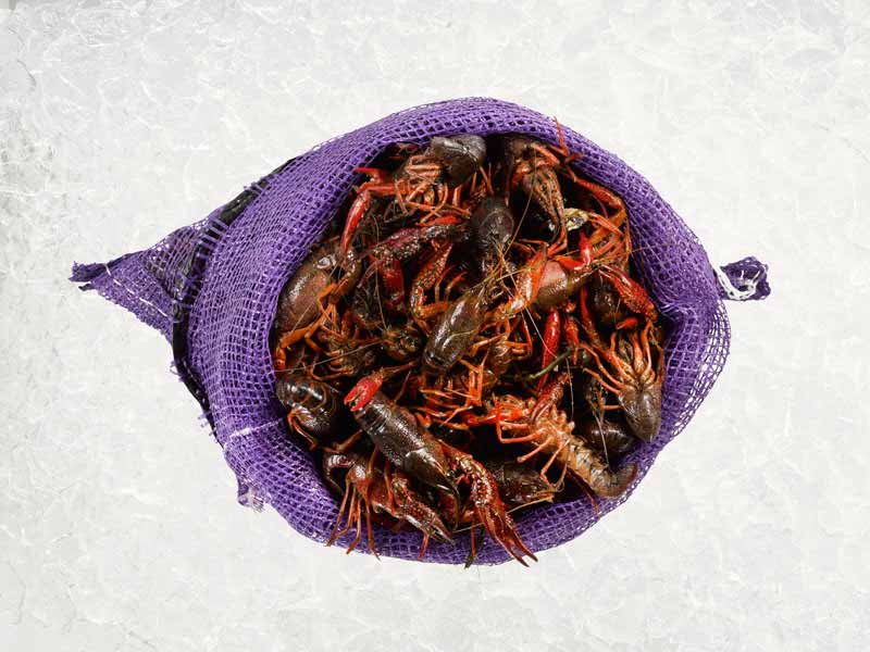 Crawfish in Sack on Ice