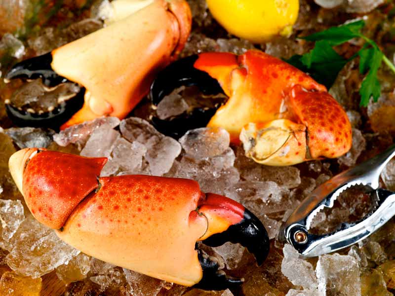 Jumbo Cooked Stone Crab Clawed on Ice with Lemon, Herbs and Crab Cutter