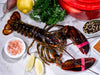 Small Live Lobster on White Surface with Herbs and Spices