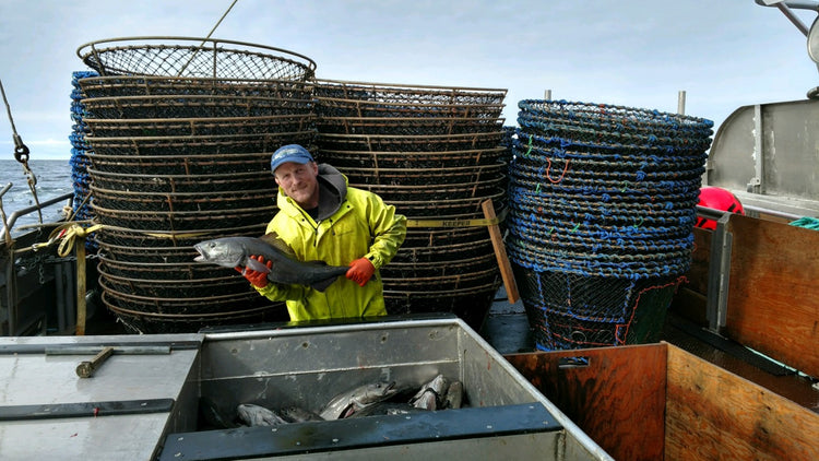 Alaska Fisherman on Boat Holding Fish in Hands