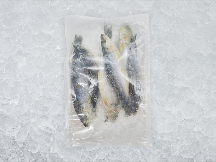 Wild Whole Sardines back of package on ice