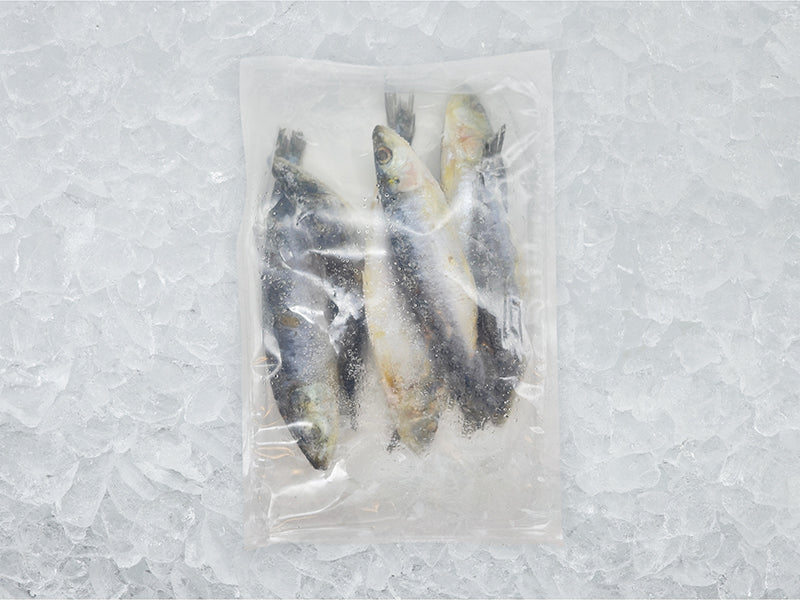 Wild Whole Sardines back of package on ice