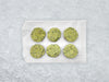 Fulton Fish Market Garlic & Herb Finishing Butter - 6ct pucks on white paper with ice background