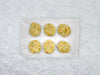 Fulton Fish Market Scampi Finishing Butter - 6ct pucks on white paper with ice background