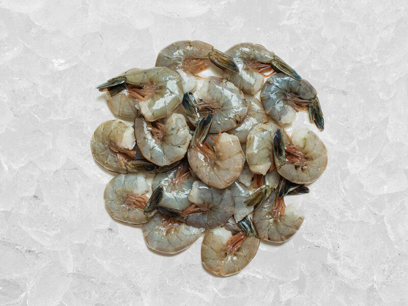 Pile of Wild Colossal Blue Shrimp on Ice
