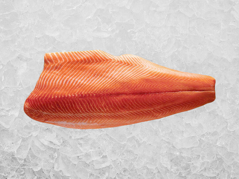 Ora King Salmon Fillet on Ice