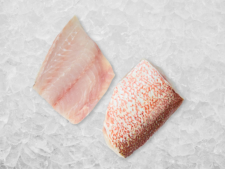 American Red Snappper Portion on ice