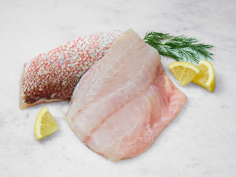 American Red Snapper Portion with herbs and lemon