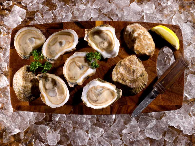 Shucked Pemaquid Oysters with Lemon Wedges, Herbs, and Oyster Knife