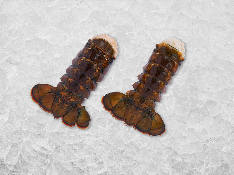 Cold Water Lobster Tails on Ice