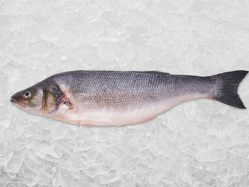 Butterflied Branzino on Ice