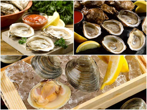 New England Raw Bar bundle with Blue Point Oysters, Pink Moon Oysters, & Countneck Clams