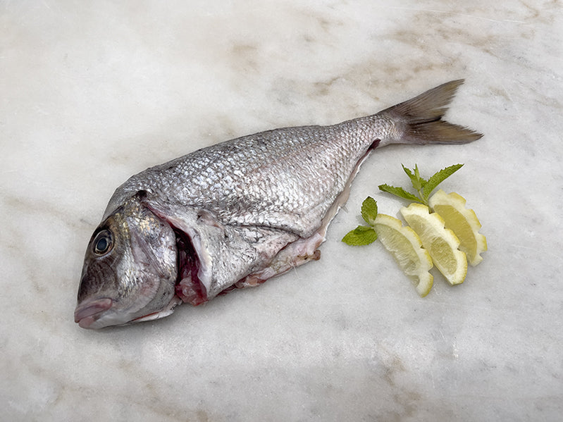 Buy Fresh Whole Fish Online Fresh Fish Delivery Fulton Fish Market