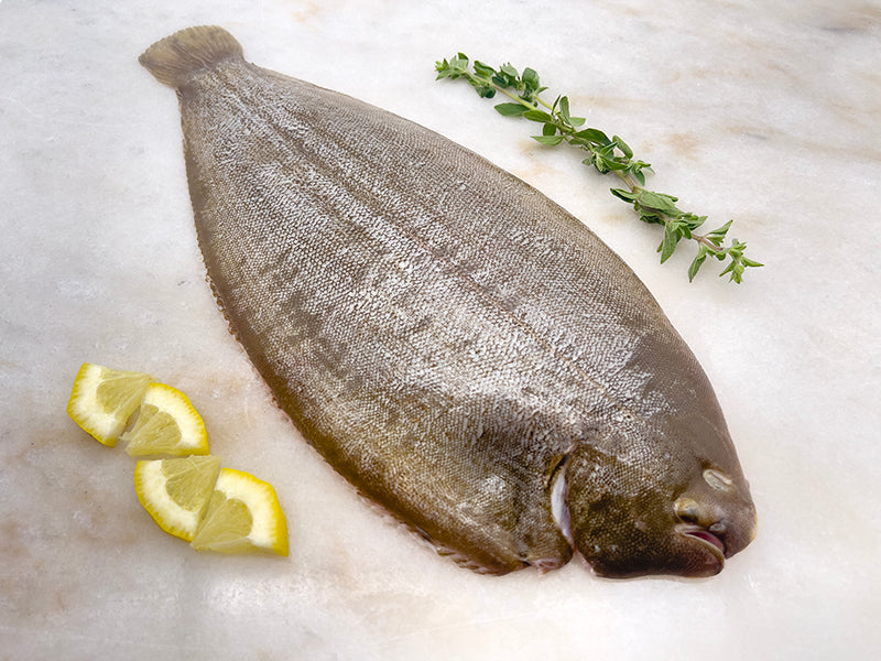 Whole Dover Sole on marble with lemon and herbs