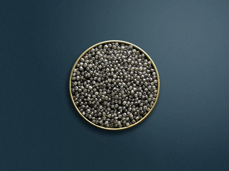 American Beluga 00 Caviar Tin Opened on Navy Blue Background