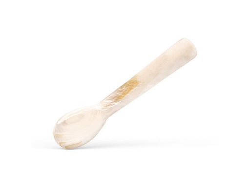 Mother of Pearl Spoon on White Background