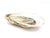 Birch Point Oyster on White Background