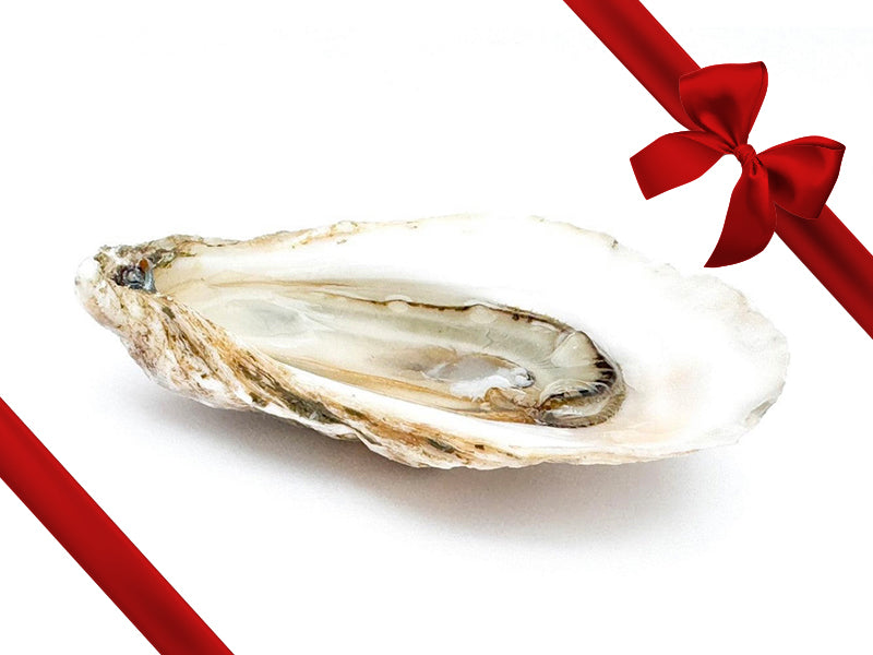 Birch Point Oyster with Gift Ribbon