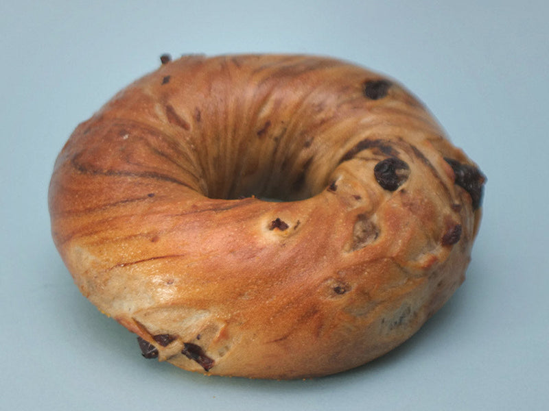 Single Cinnamon Raisin Bagel on Grey Background