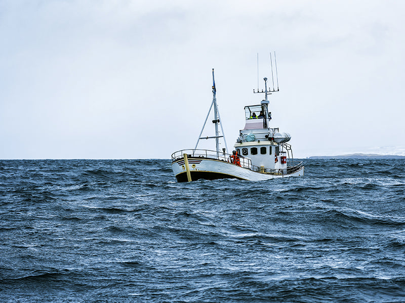 Boat in the ocean fishing for Atlantic Cod