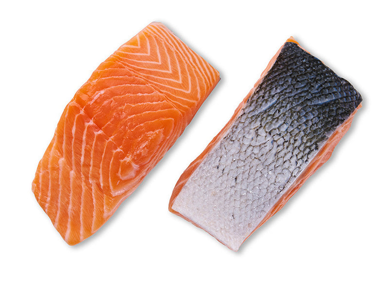 Atlantic Salmon Portions on White Background