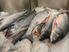 Whole King Salmon on ice in the Fulton Fish Market
