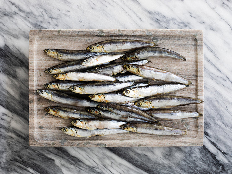 Group of Whole Anchovies on Marble Surface