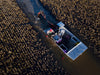 Boat Checking Crawfish Traps on Crawfish Farm