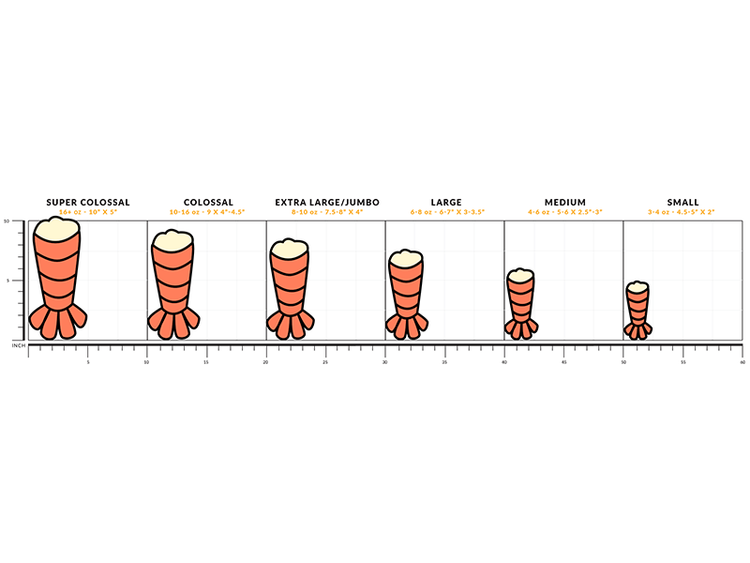 Lobster Tail Size Chart