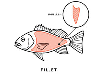 Boneless Fillet Diagram