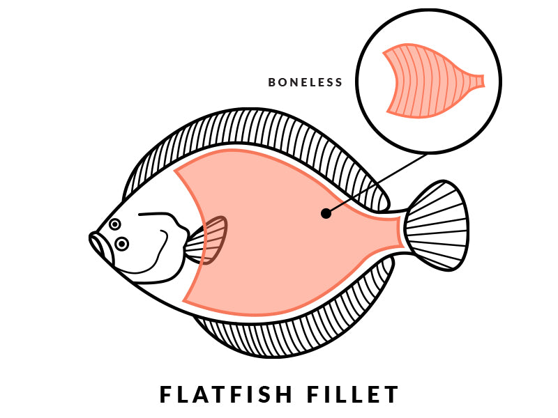 Flatfish Fillet Diagram