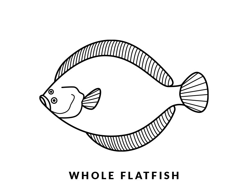 Whole Flatfish Diagram