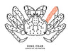 King Crab Center Cut Leg Diagram