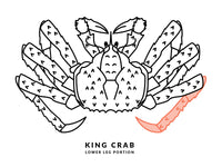 King Crab Lower Leg Diagram