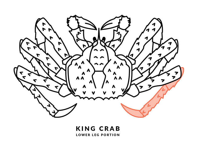 King Crab Lower Leg Diagram