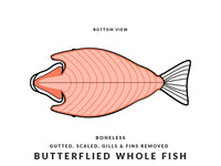 Butterflied Whole Fish Diagram Bottom View