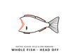 Whole Fish Head Off