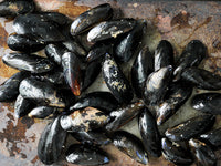 PEI Mussels on Stone Surface