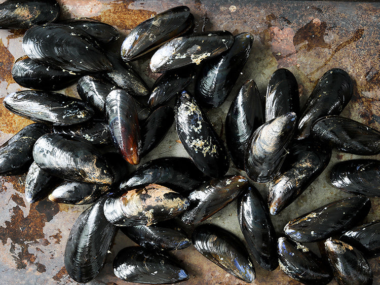 PEI Mussels on Stone Surface
