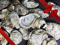 Shucked Blue Point Oysters with Gift Bow Graphic