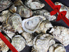 Shucked Blue Point Oysters with Gift Bow Graphic