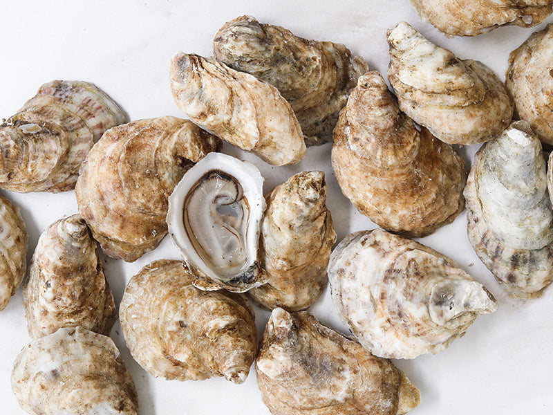 Close Up of Petite Pink Moon Oysters on Light Marble Surface