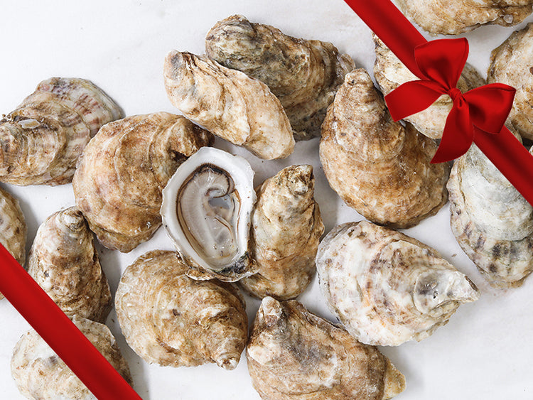 Shucked Pink Moon Oysters on Marble Table with Gift Bow Graphic