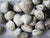 Close Up of Countneck Clams in a Pile on Gray Surface