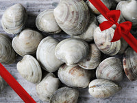 Countneck Clams in Pile with Gift Bow Graphic