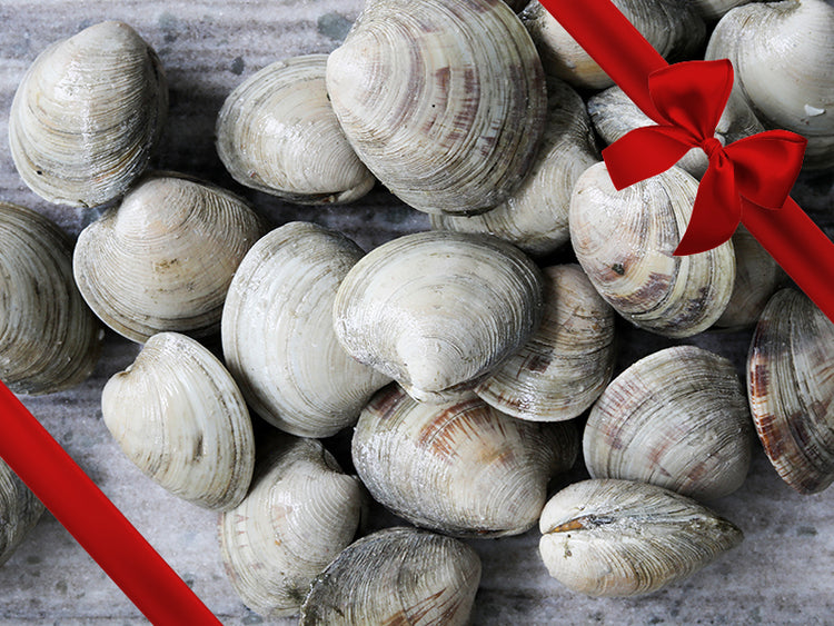 Countneck Clams in Pile with Gift Bow Graphic