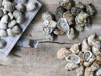 Countneck Clams, Blue Point Oysters, and Pink Moon Oysters in Piles on Wood Table